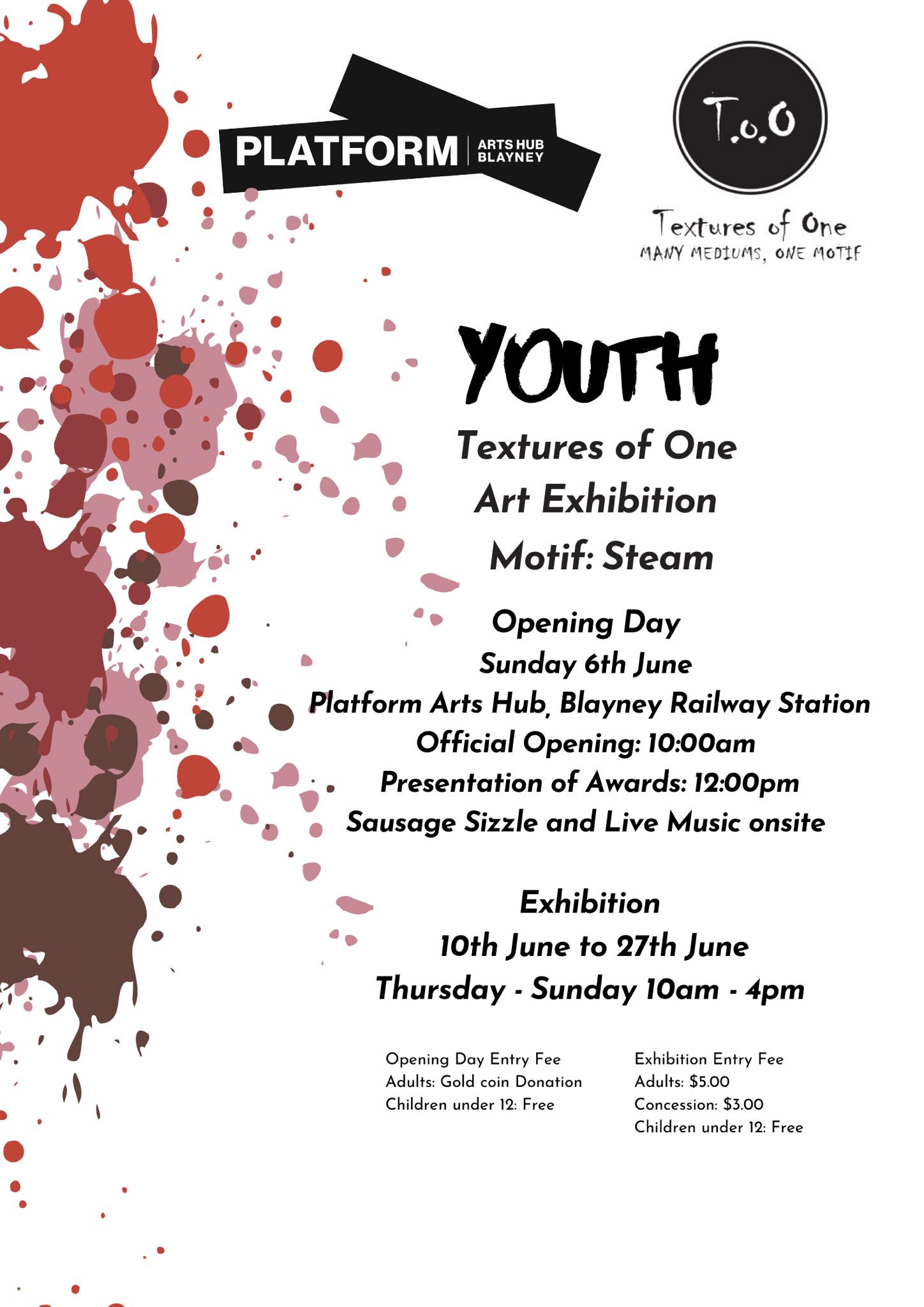 Poster for the Youth Textures of One exhibition. Details in text have been add to the text on this page.